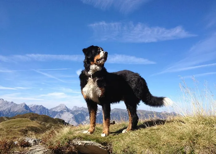 Badl - מלון הל אין טירול