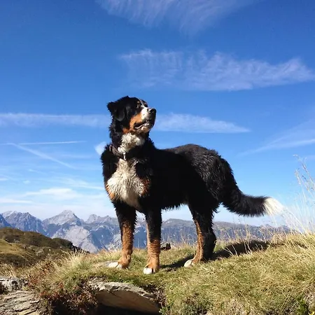 Badl - ホテル ハル・イン・チロル