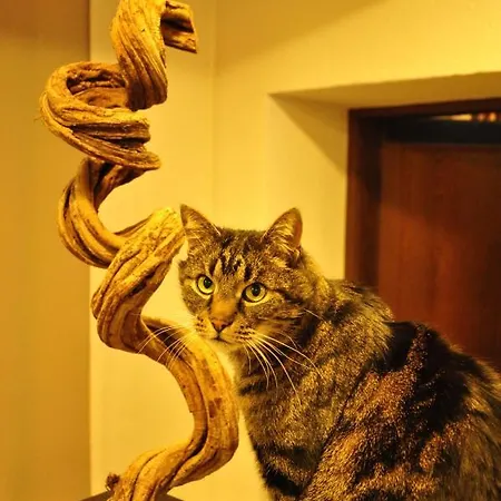 Badl - ホテル ハル・イン・チロル